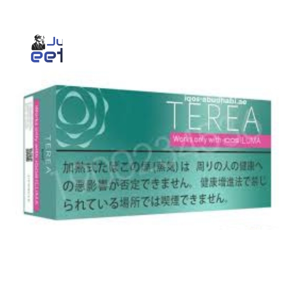 TEREA Mint for IQOS ILUMA in UAE