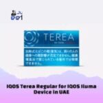 TEREA Rich Regular for IQOS ILUMA in UAE